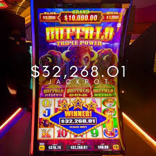 Free Spins Bonus - Lucky Tiger